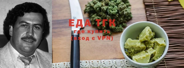 гидра Вяземский