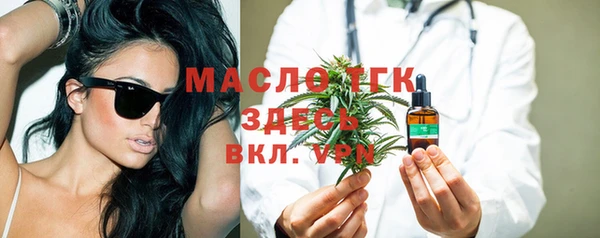 гидра Вяземский