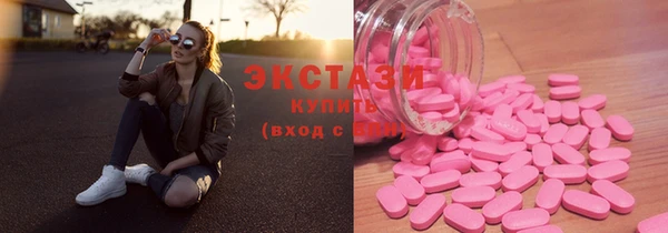 гидра Вяземский