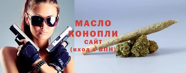 гидра Вяземский