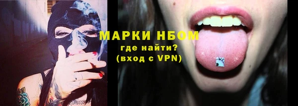 гидра Вяземский