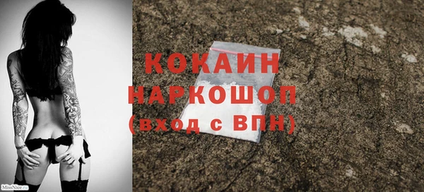 гидра Вяземский