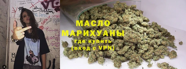 гидра Вяземский