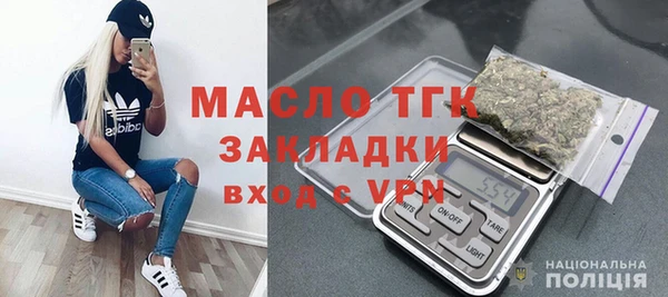 гидра Вяземский