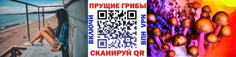 Галлюциногенные грибы ЛСД Зима